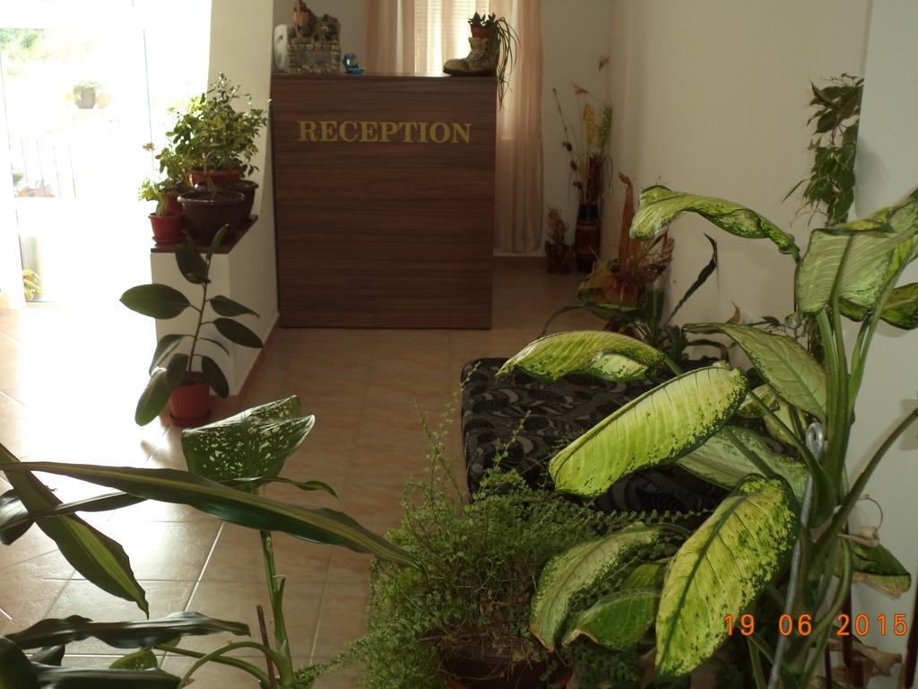 Sveti Georgi Guest House โซโซโปล ภายนอก รูปภาพ