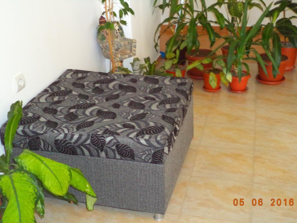 Sveti Georgi Guest House โซโซโปล ภายนอก รูปภาพ