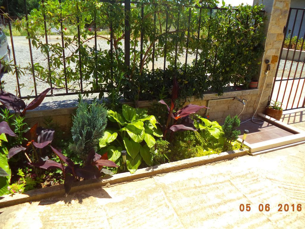 Sveti Georgi Guest House โซโซโปล ภายนอก รูปภาพ